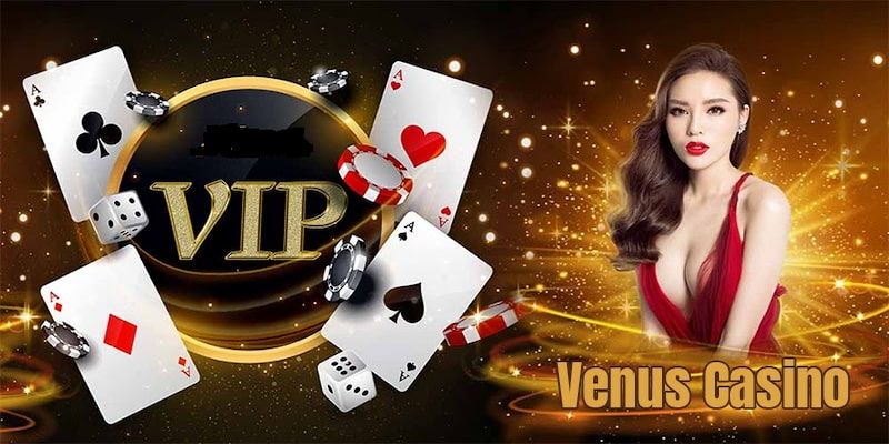 Giới thiệu về cổng game Venus Casino