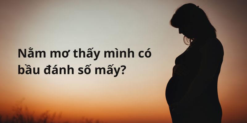 nằm mơ thấy mình có bầu đánh số mấy